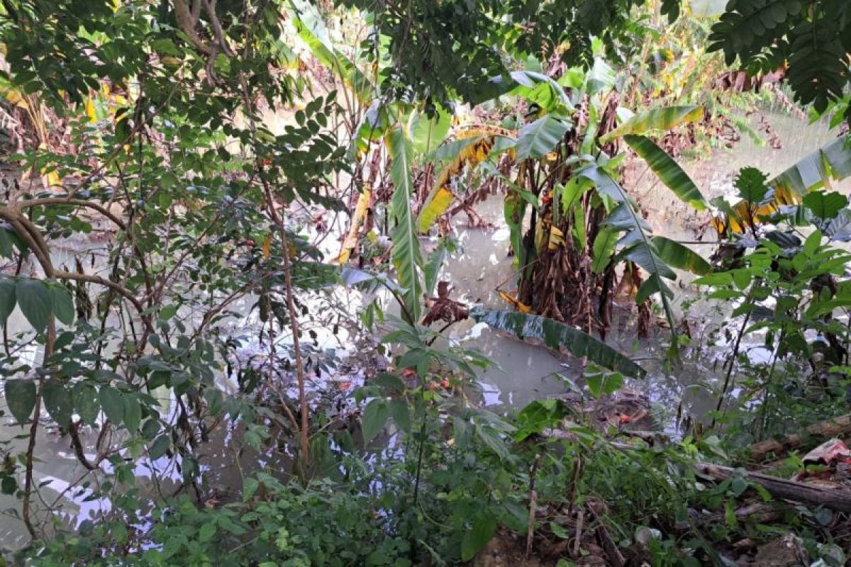 Penimbunan Kali Mati, Perumahan Vila Viyata Yudha terancam banjir