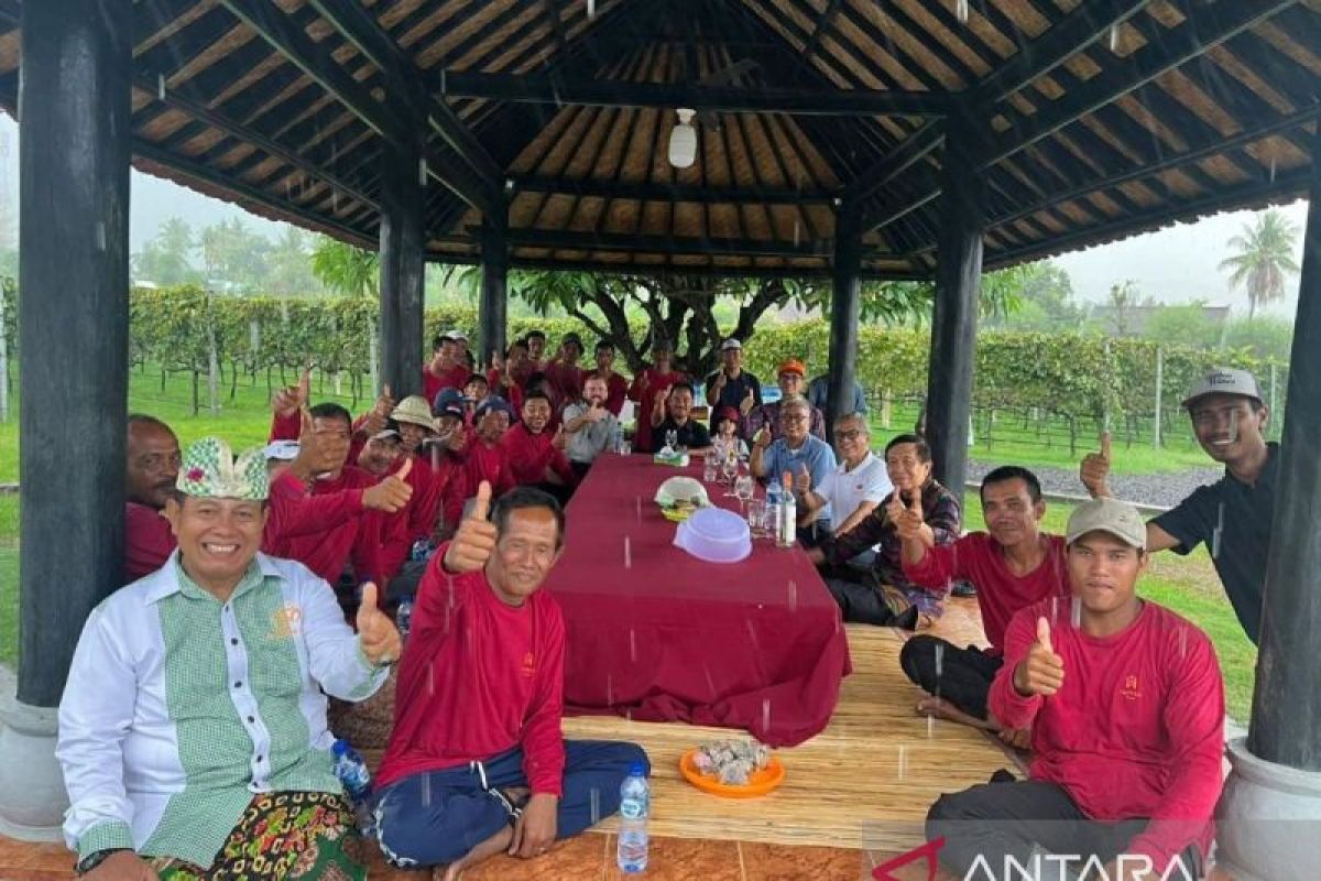 Pastika gugah pengusaha anggur di Bali tingkatkan kualitas SDM