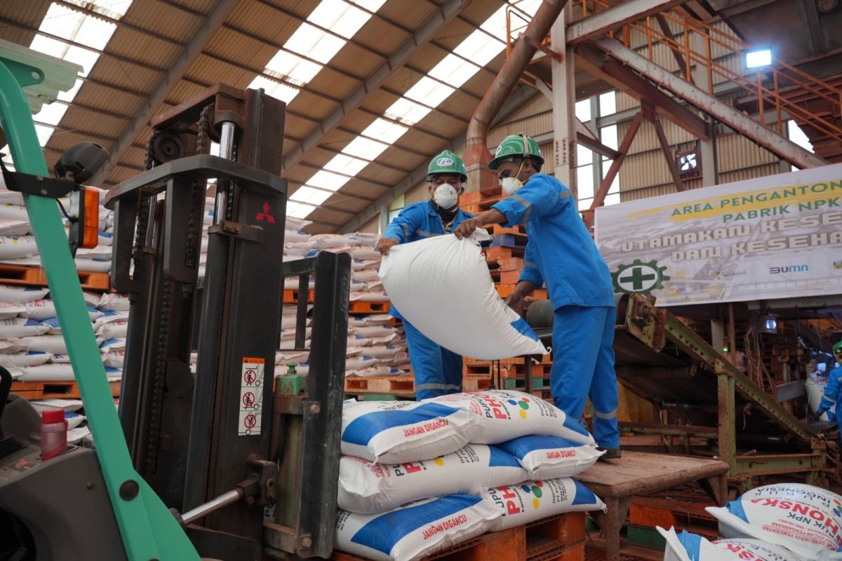 Pusri klaim stok pupuk urea subsidi capai 200.682 ton, tersedia untuk Lampung