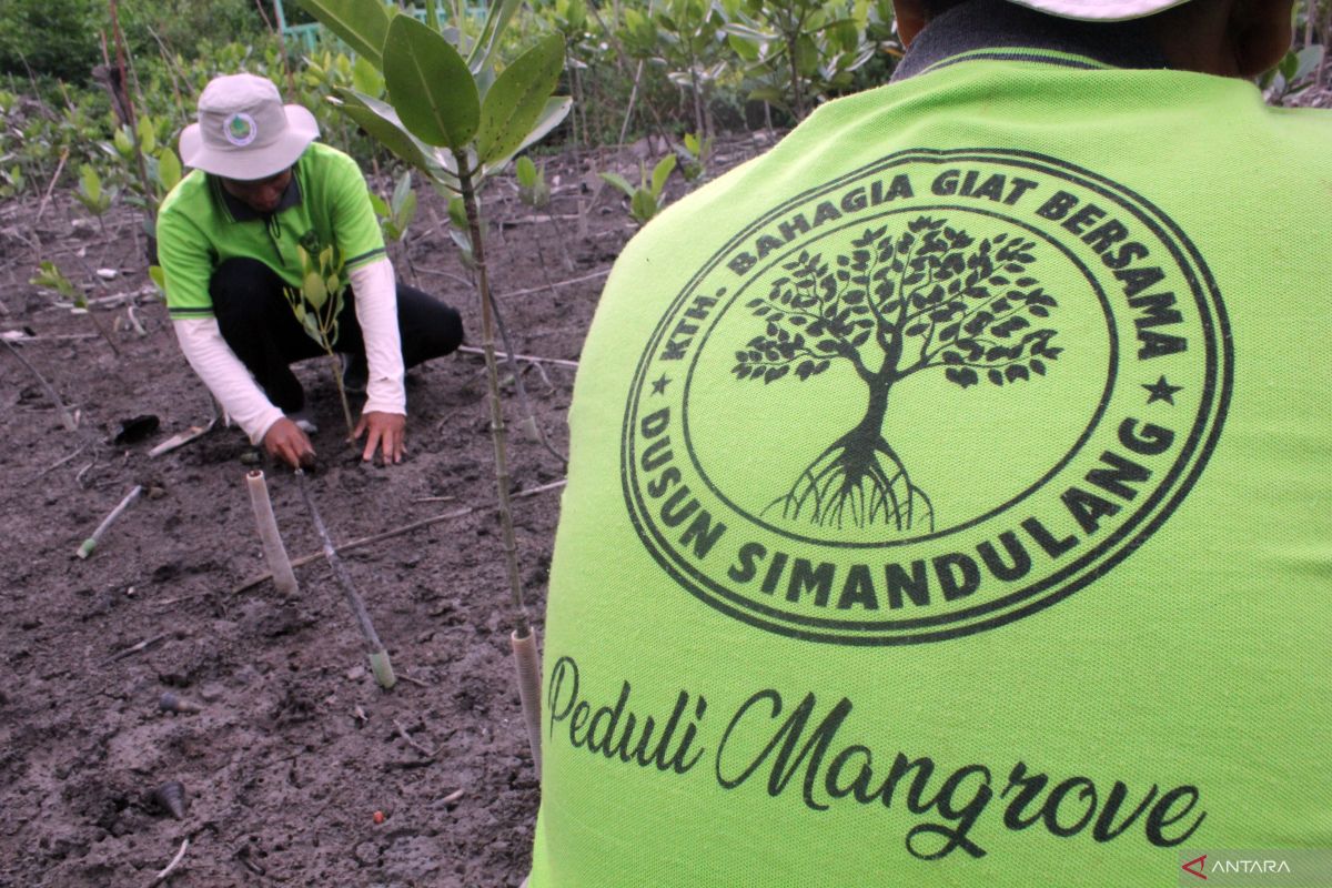 Membangun ekonomi Indonesia dari wilayah pesisir