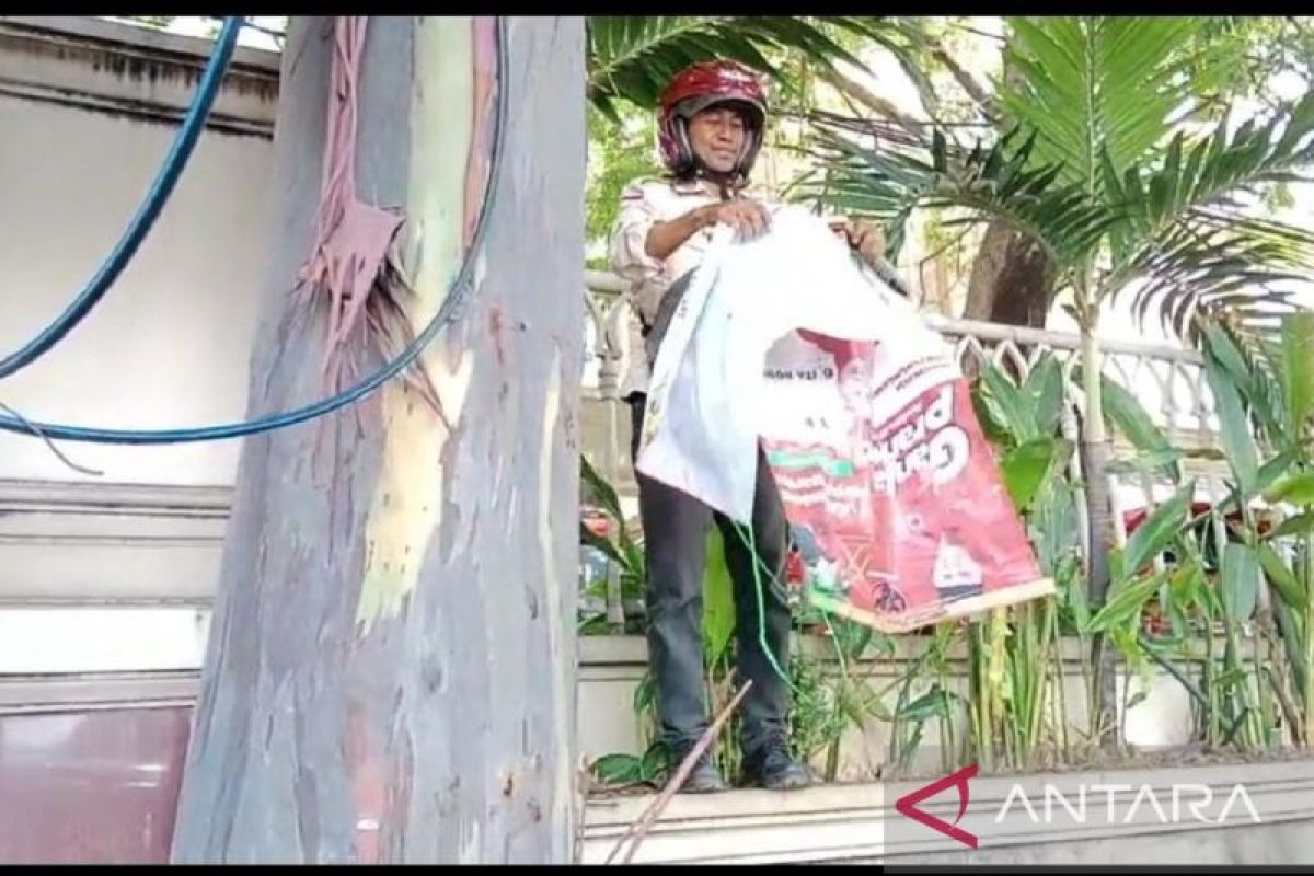 Bawaslu Kota Tangerang tertibkan ratusan APK terpasang di pohon