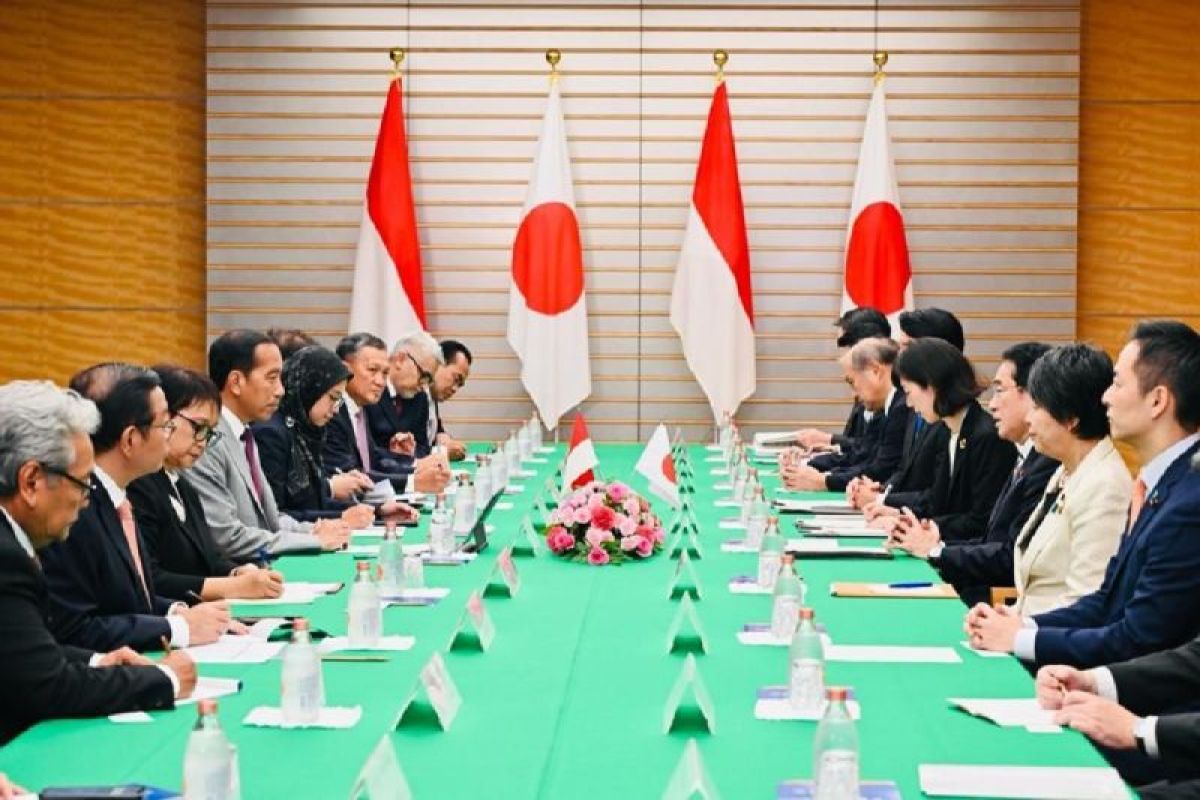 Widodo asks Japan to support call for Gaza ceasefire