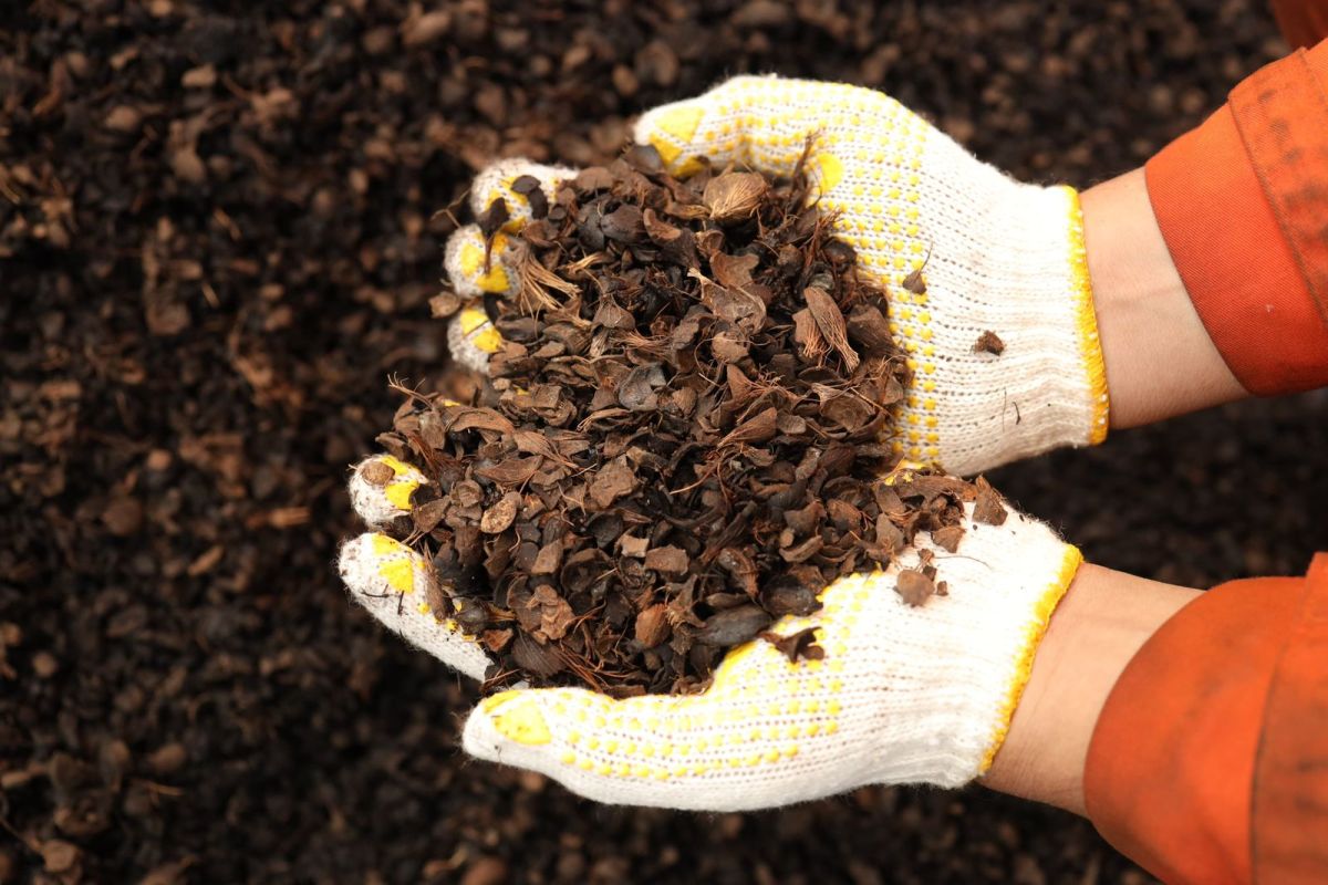 PLN EPI pasok cangkang sawit dan woodchip untuk PLTU Sintang