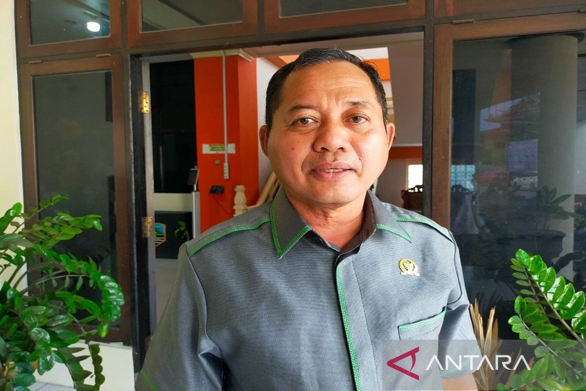 Legislatif Kotabaru berharap DKPP revitalisasi tanaman aren lokal