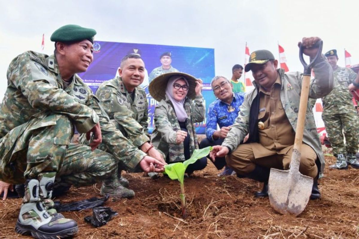 Kostrad siapkan 100 hektare lahan budi daya pisang cavendish di Sulsel