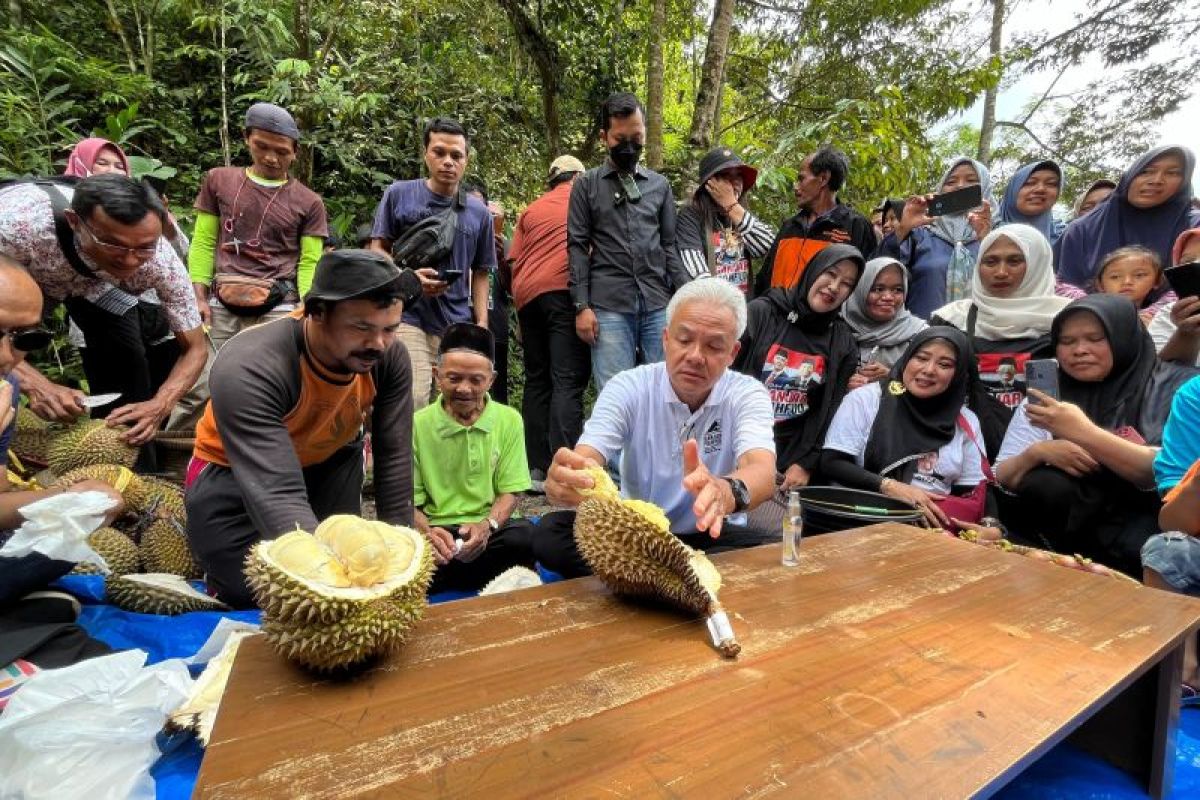 Ganjar ingin Desa Wilayu jadi destinasi wisata durian