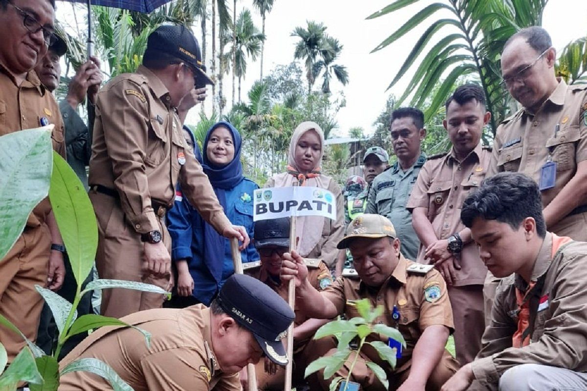 Sabar AS tanam 5.000 pohon di lokasi terdampak banjir