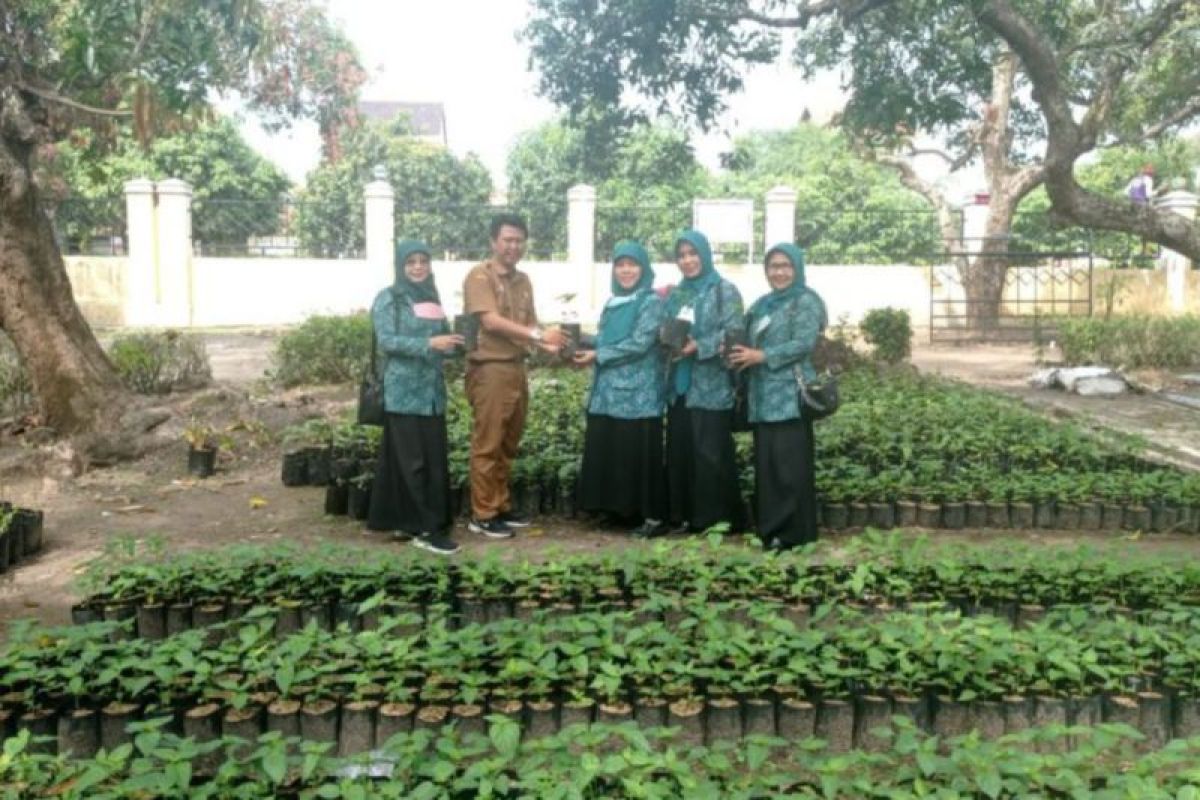 Pemkab Indramayu salurkan 3.200 bibit cabai jaga pasokan pangan
