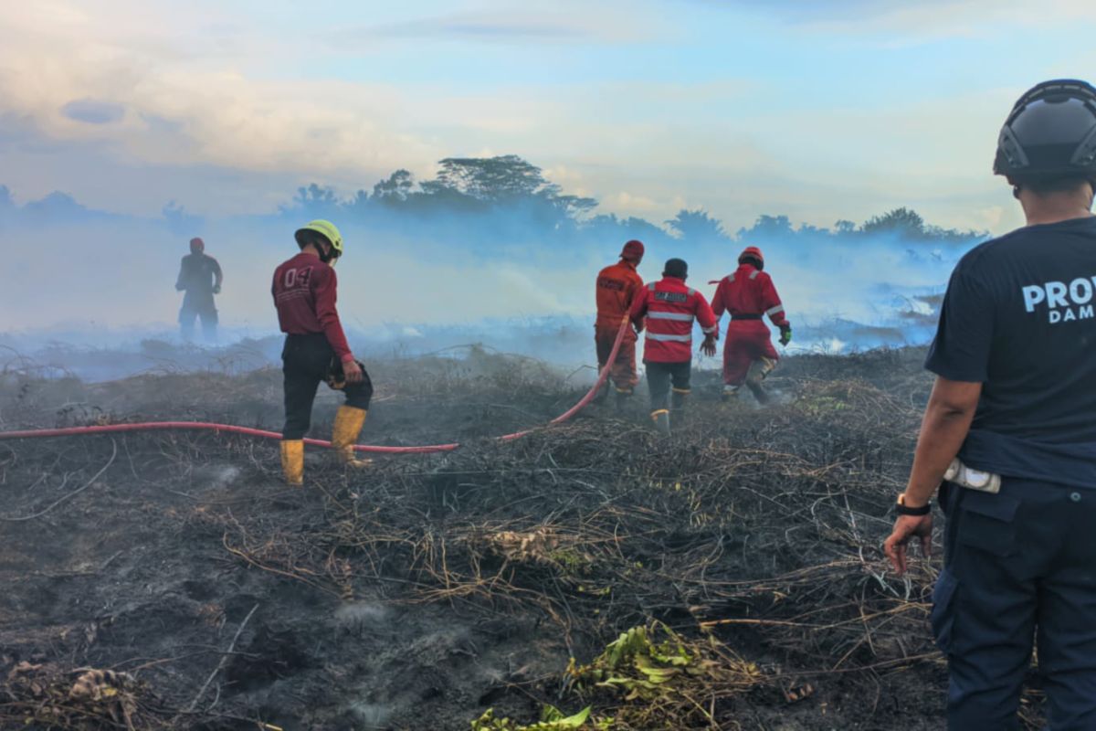 Kebakaran lahan gambut Bengkulu, Damkar kerahkan sumber daya maksimal