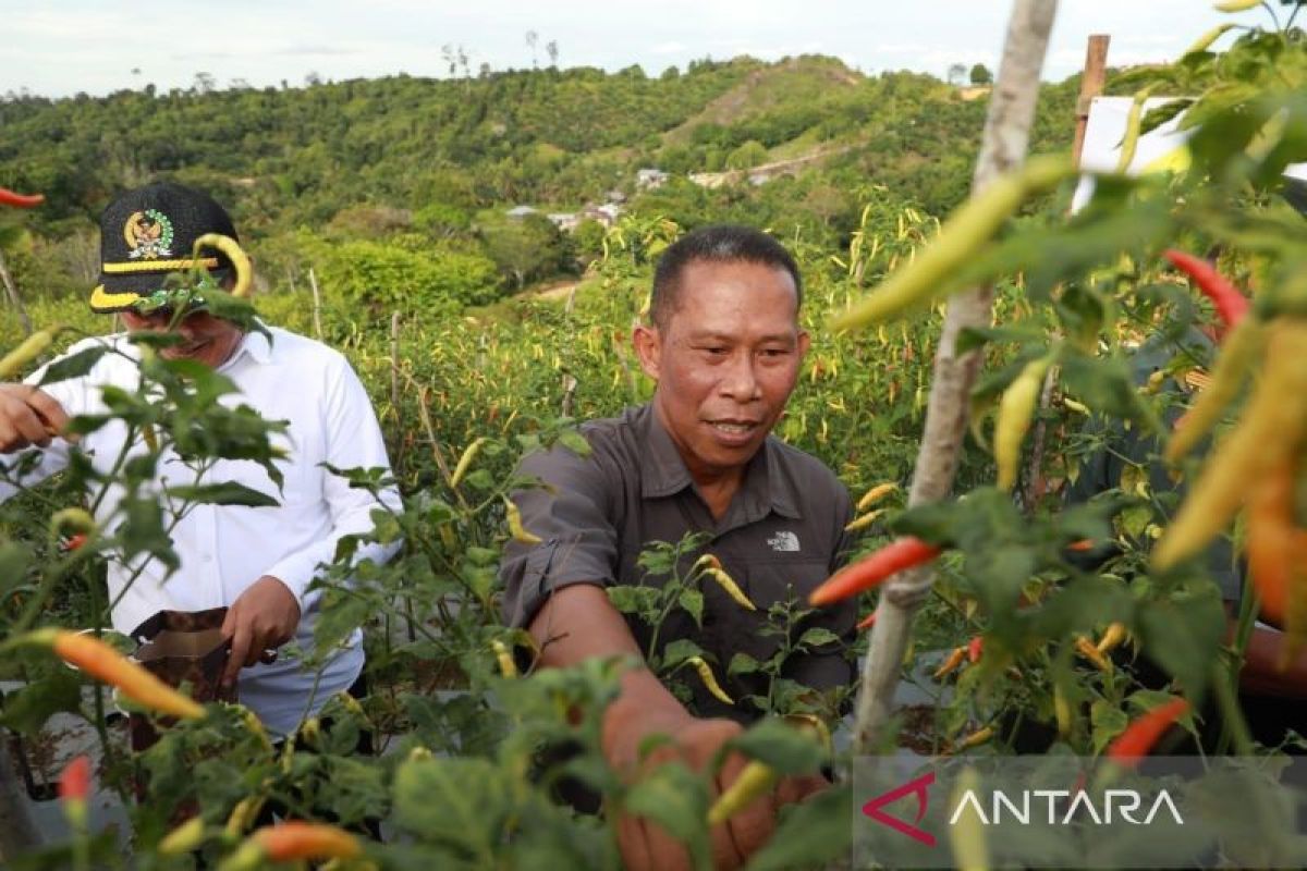 Bupati dan TPID Bulungan kerja sama jaga ketersediaan bahan pokok