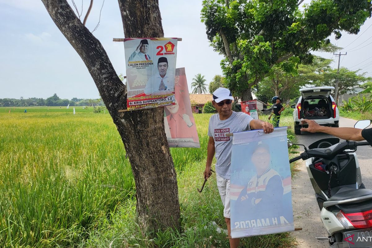 LSM Sniper Indonesia cabut APK terpaku di pohon sepajang jalan Bekasi