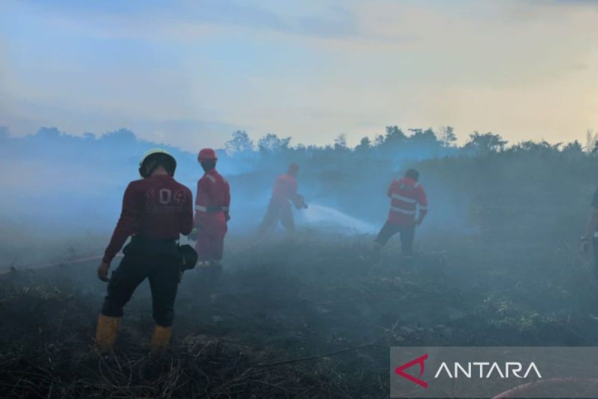 Selama 2023 terjadi 107 kali kebakaran lahan di Bengkulu