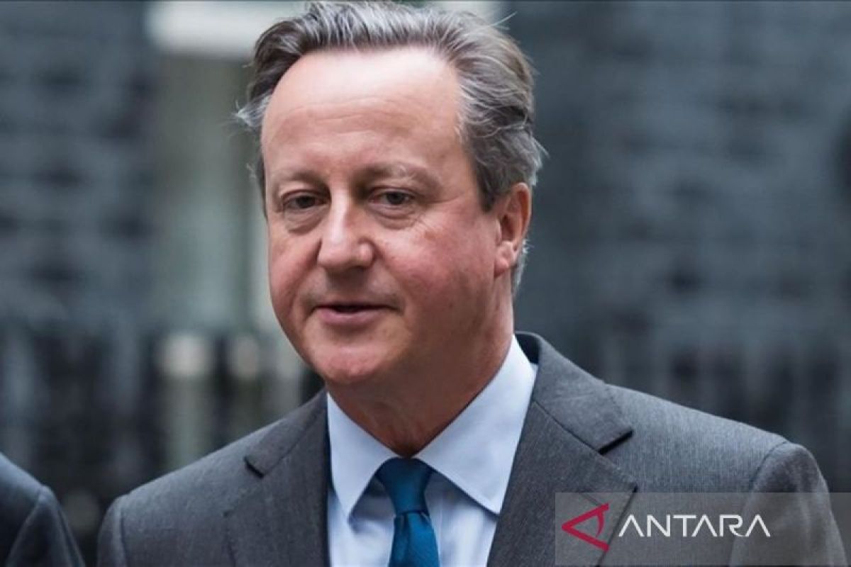 Pakar Inggris minta Menlu Cameron dukung gencatan senjata di Gaza