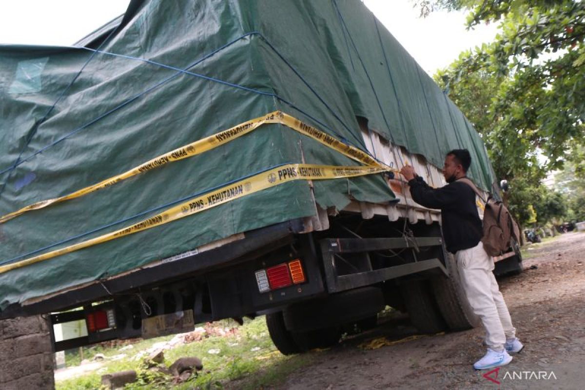 Gakkum LHK Mataram tak temukan pidana dari kasus kayu tangkapan TNI