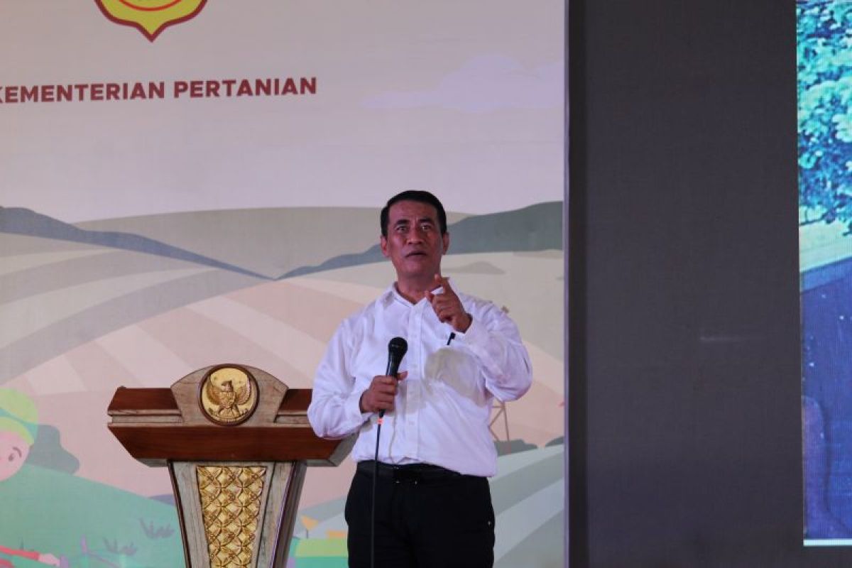 Menteri Pertanian beri bibit kedelai untuk 1.000 ha lahan percobaan di Lampung