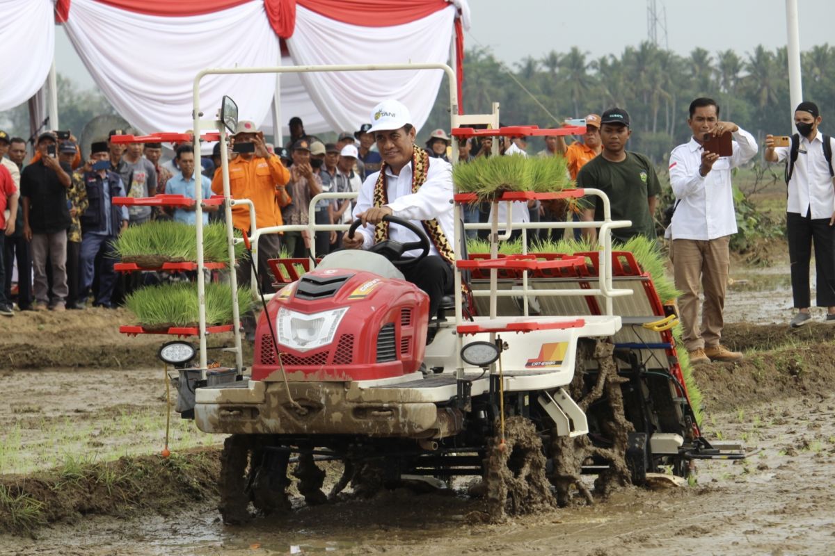 Kementan siapkan 50 ribu hektare lahan rawa jaga produktivitas