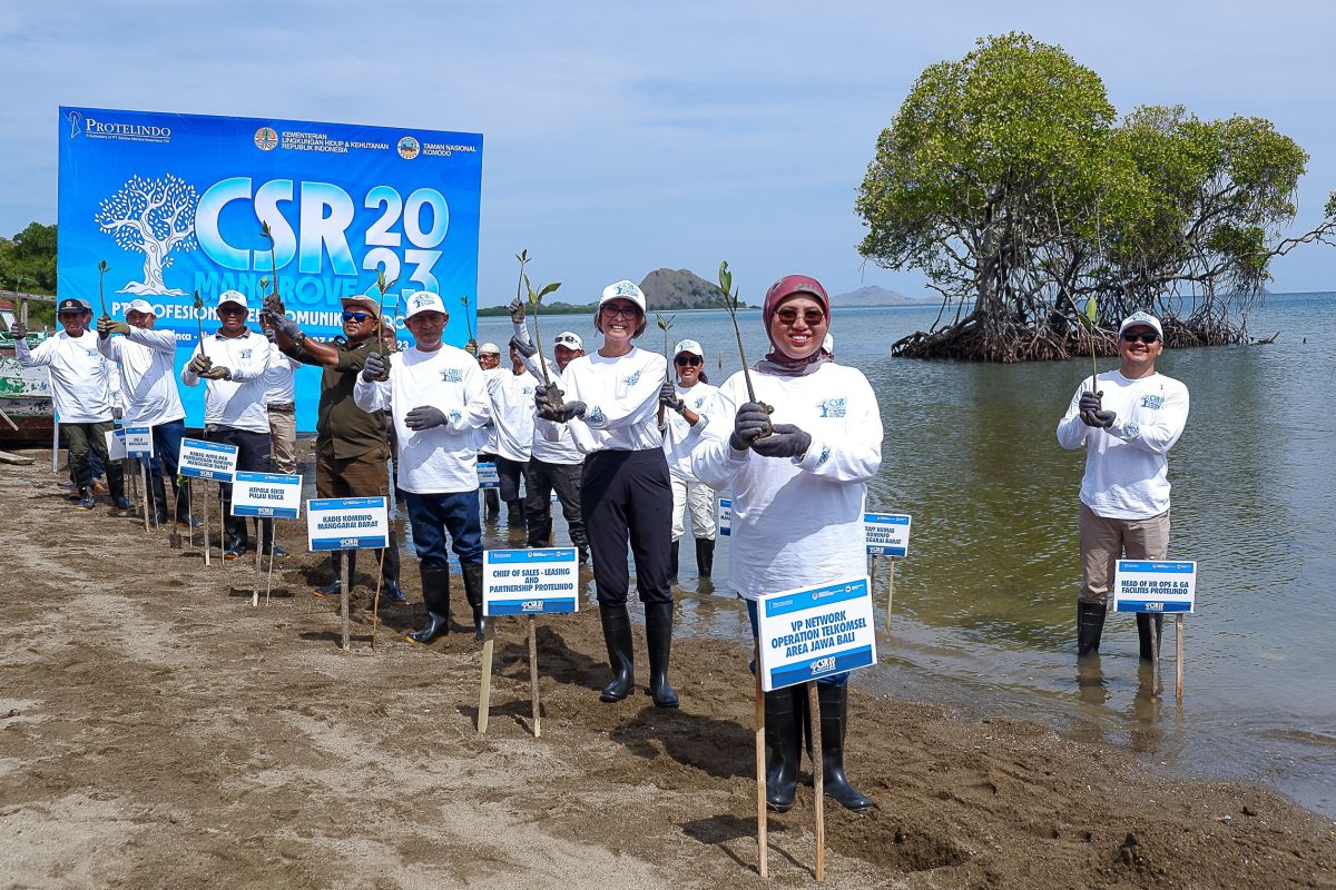 Protelindo melibatkan instansi pemerintah tanam 35 ribuan mangrove