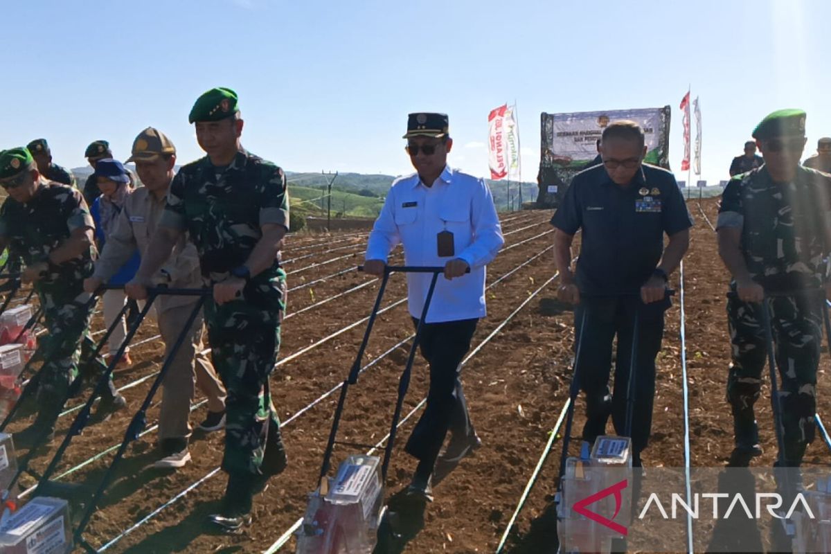 Kampung Neglasari jadi proyek percontohan Program Hanpangan TNI AD