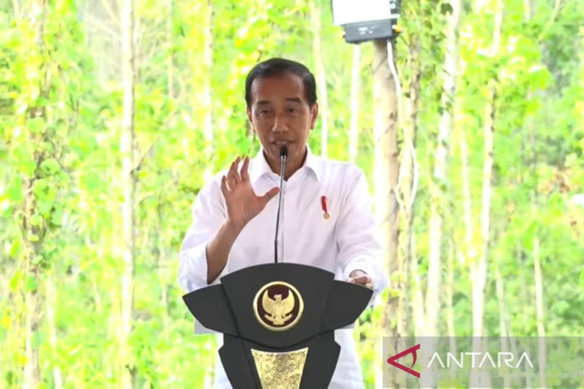 Jokowi senang investor lokal berinvestasi di IKN