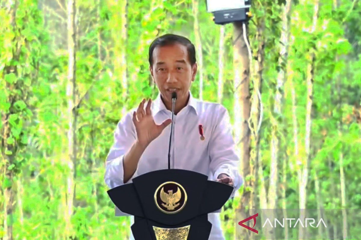 Tanami tabebuya-jakaranda, Presiden Jokowi: Kawasan IKN harus hijau