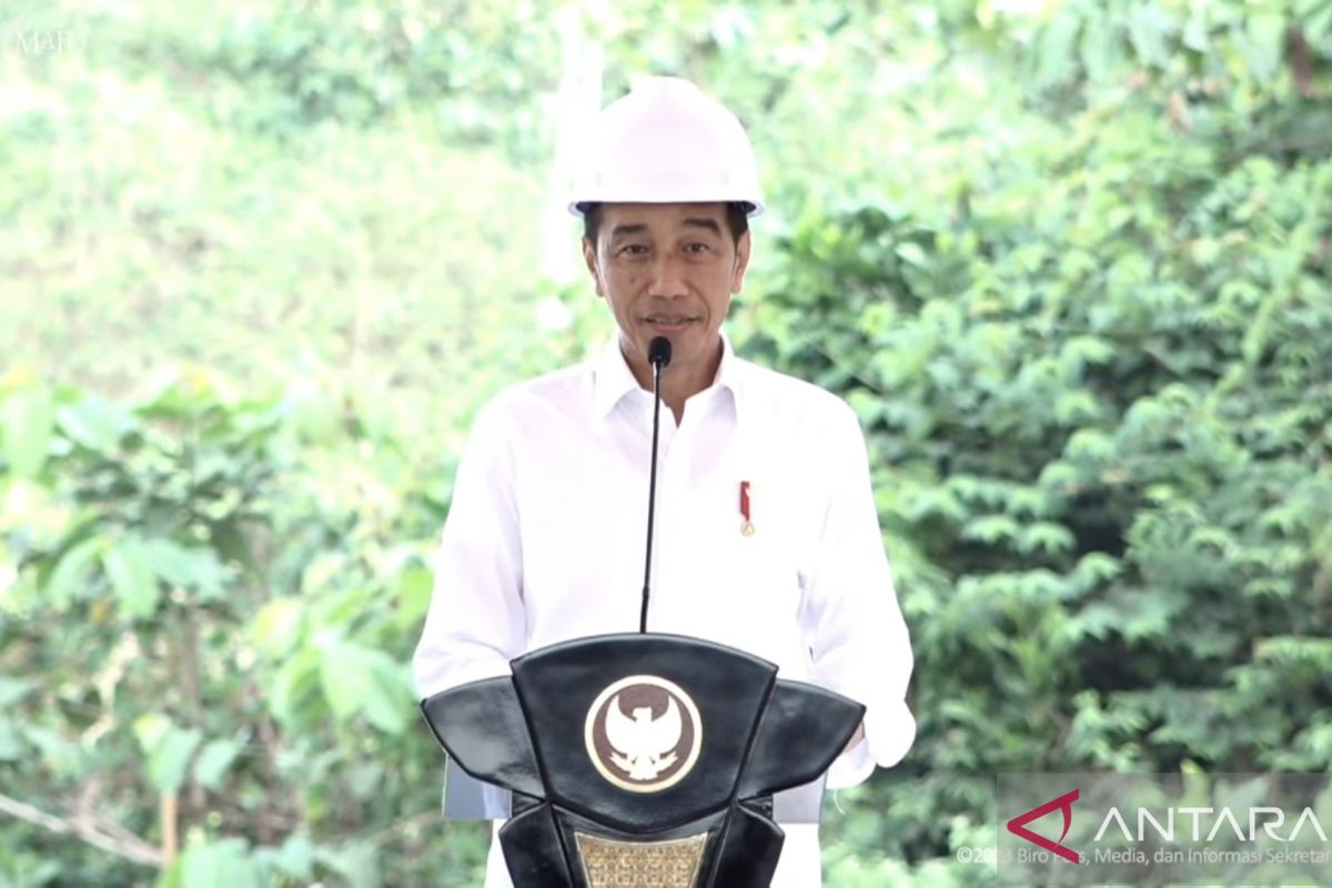 Presiden Jokowi sebut UMKM yang investasi di IKN dibebaskan PPh dan PPN