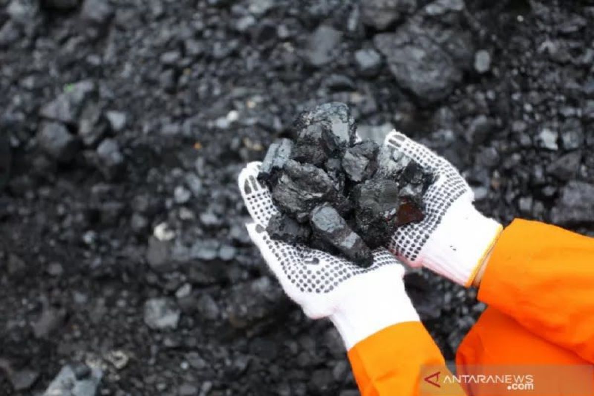 Tim Peneliti UGM menemukan potensi asam humat dari batu bara Indonesia