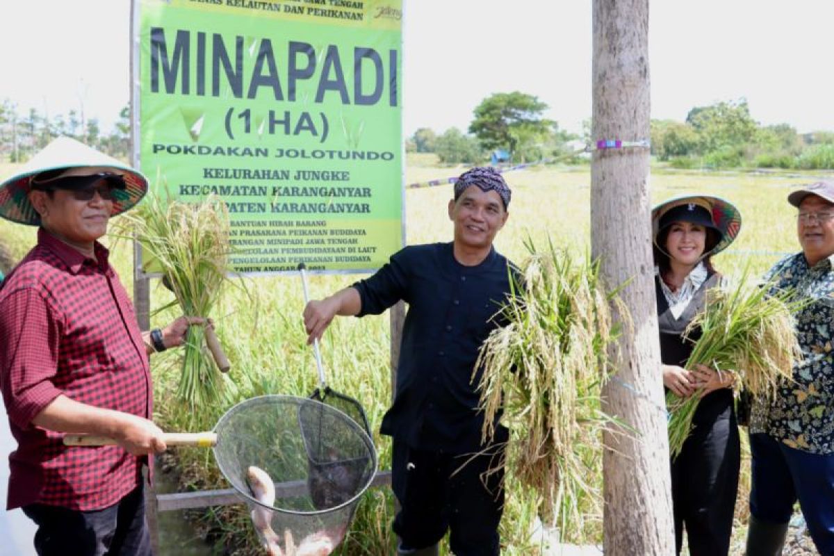 Ketua DPRD Jateng ajak petani kembangkan Mina Padi