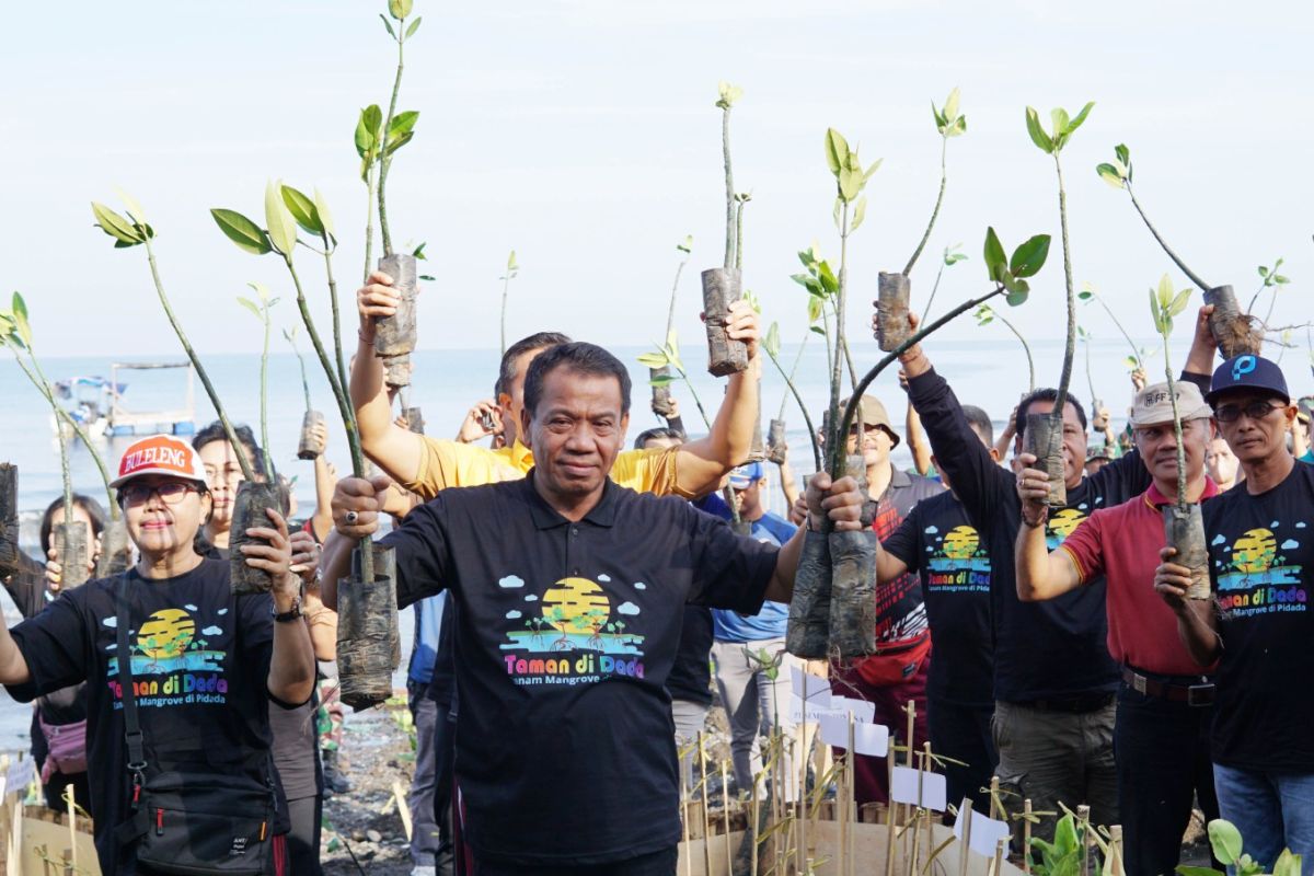 Pemkab Buleleng tanam ribuan bakau di Pantai Pidada cegah abrasi