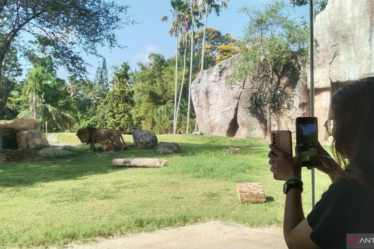 Bali Zoo tambah loket tiket hadapi libur Natal dan Tahun Baru 2024