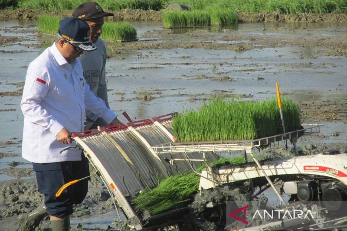 Kementerian Pertanian upayakan peningkatan produktivitas petani Aceh Besar, begini strateginya