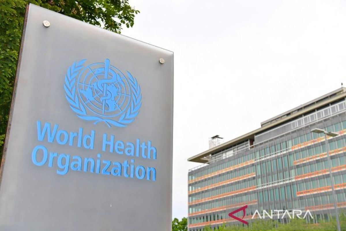WHO peringatkan dunia terkait penyakit tak dikenal