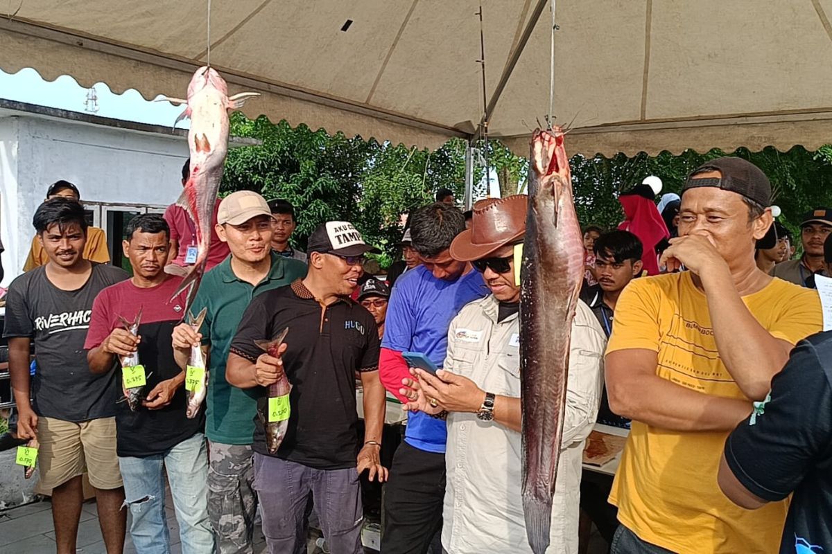1.300 peserta ikuti lomba memancing Festival Sungai Siak