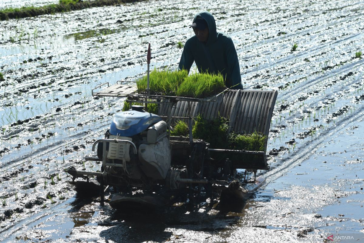 Indonesian govt urges shift from conventional to modern agriculture