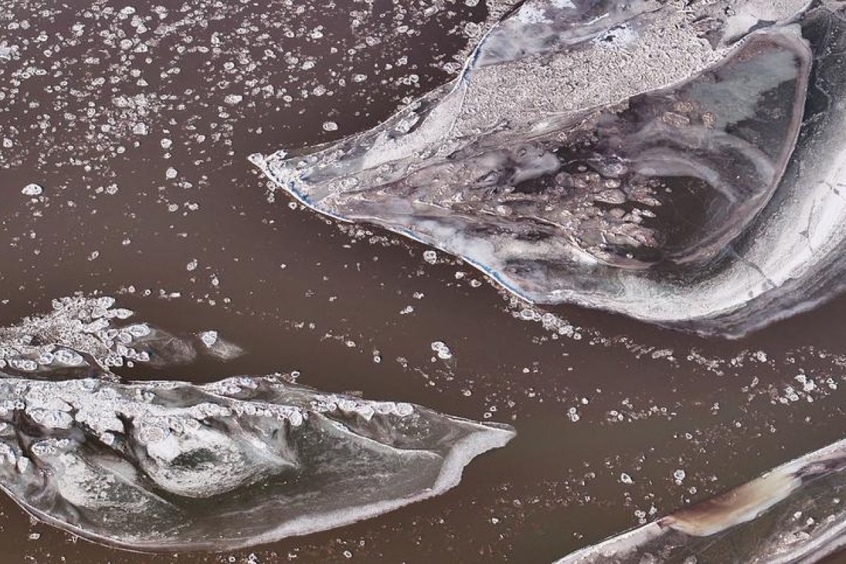 Aliran bongkahan es ciptakan pemandangan indah di Sungai Kuning, China