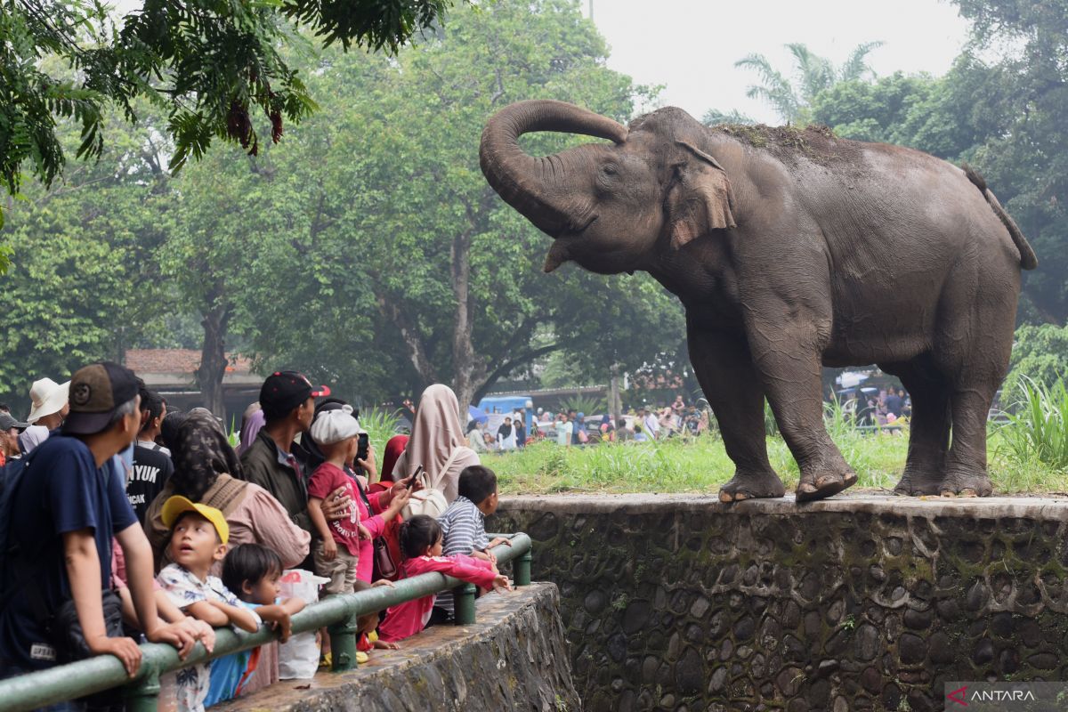 Tourism Minister calls for better zoo management