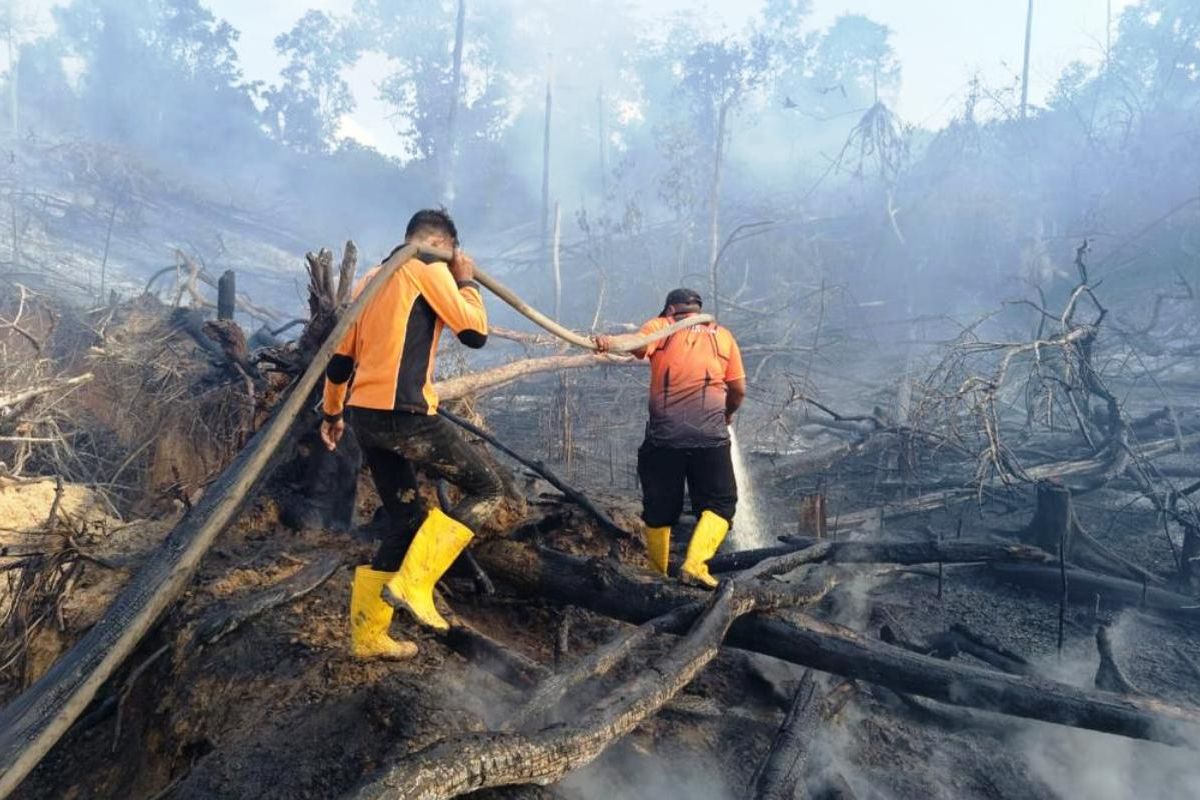 Wildfires - Some 34 hotspots still detected in East Kalimantan