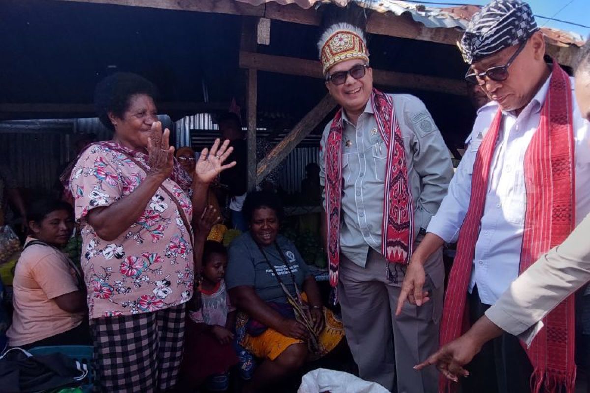 Wamentan pastikan bahan pokok di Papua Barat Daya aman terkendali