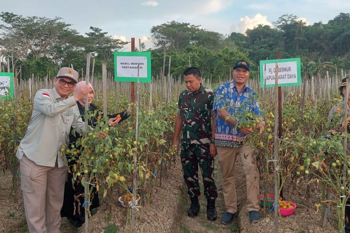 Wamentan dukung perkuat SDM kelola sektor pertanian Kabupaten Sorong