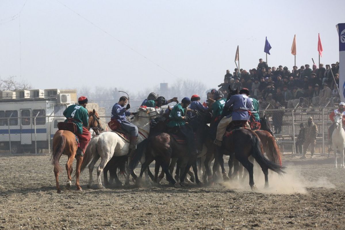 Kompetisi "menangkap kambing" Buzkashi dimulai di Afghanistan