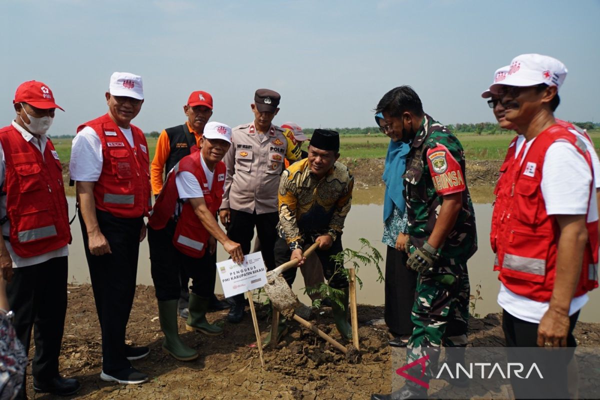 PMI Bekasi tanam seratusan pohon di DAS Ciherang kurangi risiko bencana