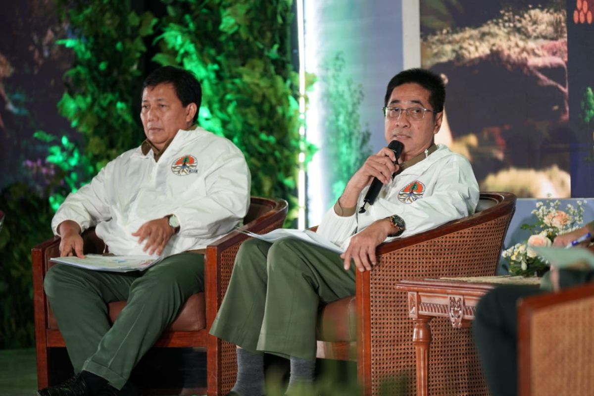 Kinerja pengelolaan hutan lestari 2023 lebihi target