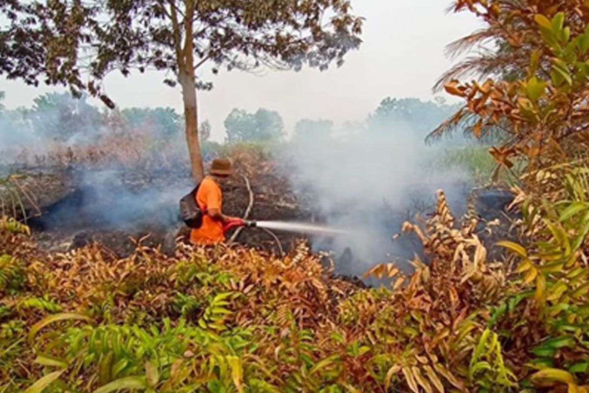 UPR-BRGM rumuskan solusi kebakaran berulang di Kalteng