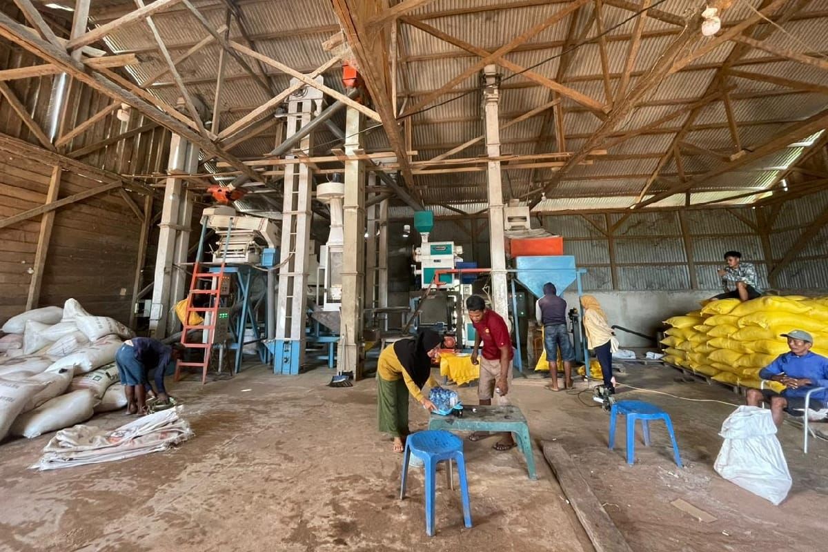 PLN: electrifying agriculture bawa keuntungan pelaku usaha di Papua