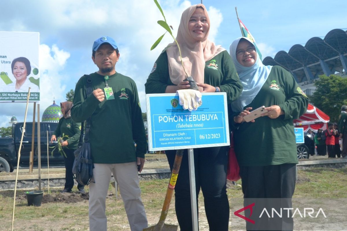 Samarinda siapkan 2.200 bibit pohon refleksi akhir tahun