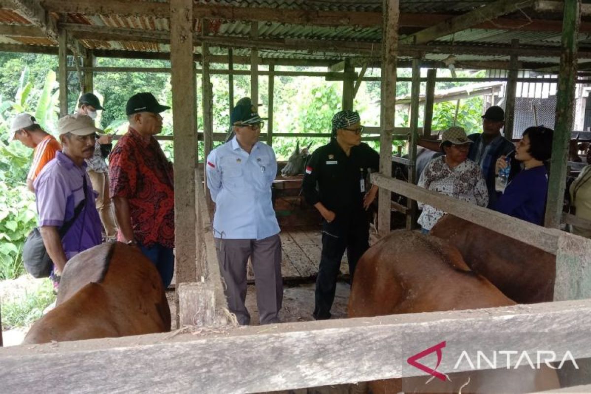 Wamentan mendukung Kabupaten Sorong jadi lumbung ternak di PBD