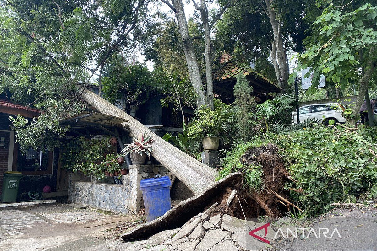 BPBD Jabar : 75 bangunan rusak akibat angin puting beliung di Bandung