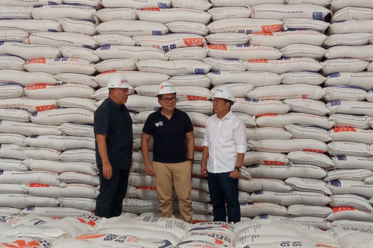 Bapanas data stok beras nasional capai 4 juta ton di awal tahun