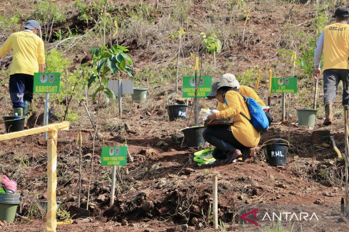 KLHK siapkan bibit bergenetik unggul untuk rehabilitasi hutan & lahan