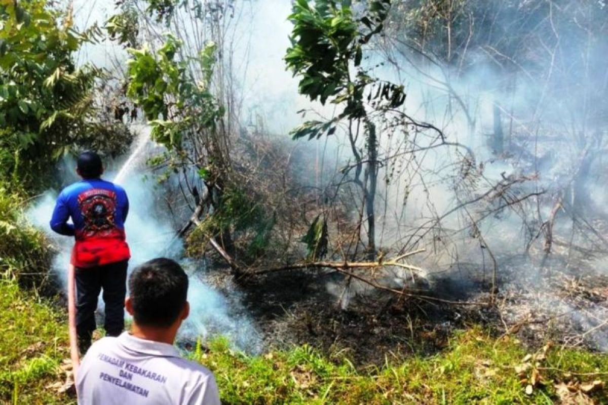 49 titik panas di Kalimantan Timur masih terdeteksi
