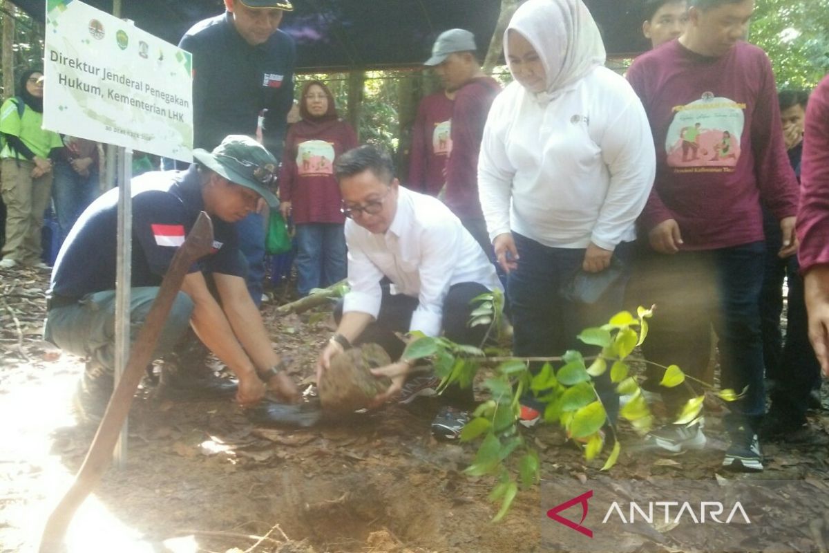 Dirjen Gakkum pimpin penanaman pohon  meranti di Kaltim